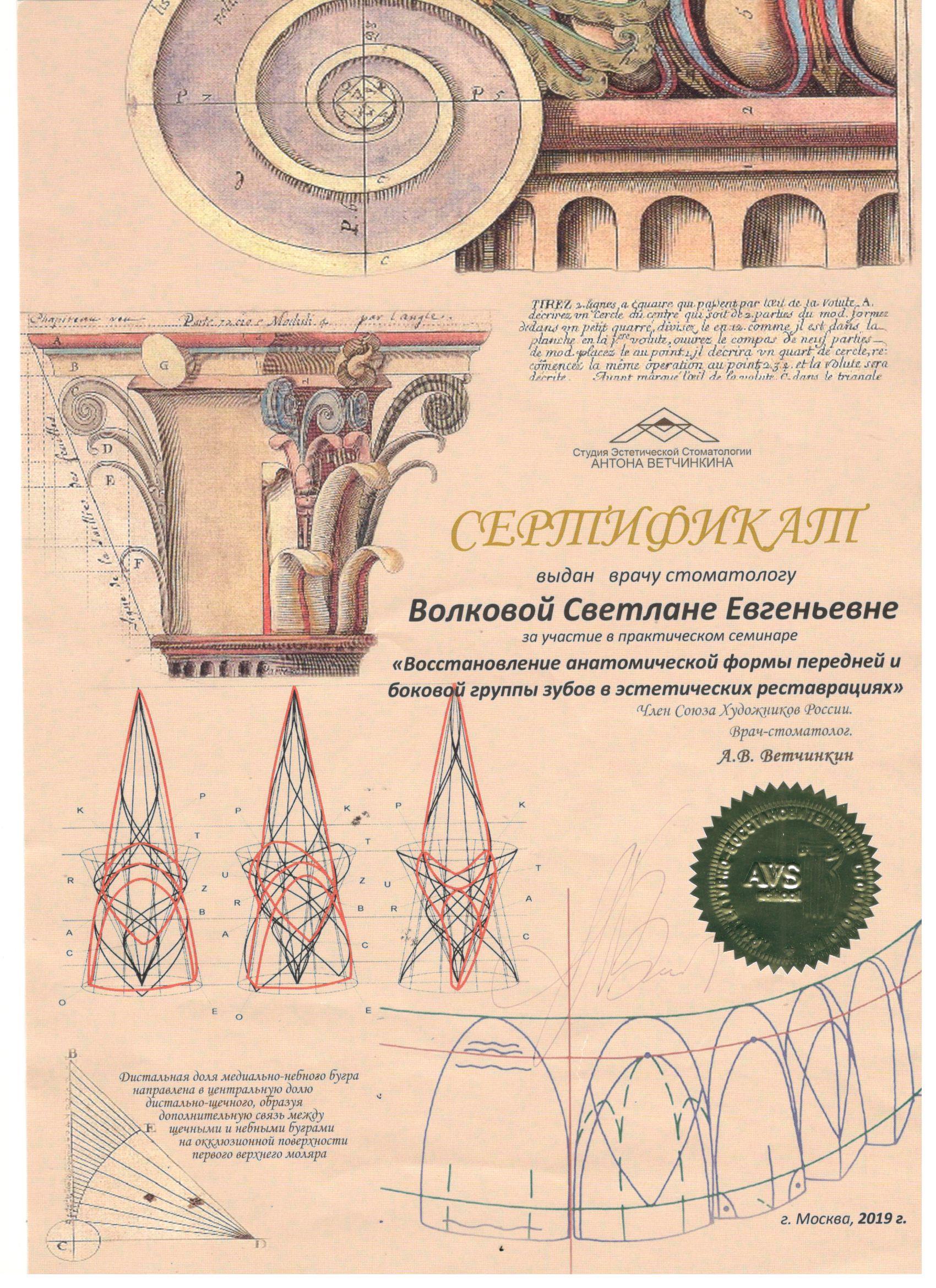 Волкова Светлана. Сертификат «Восстановление анатомической формы передней и боковой группы зубов в эстетических реставрациях»